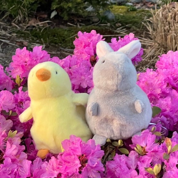 petitepluskids